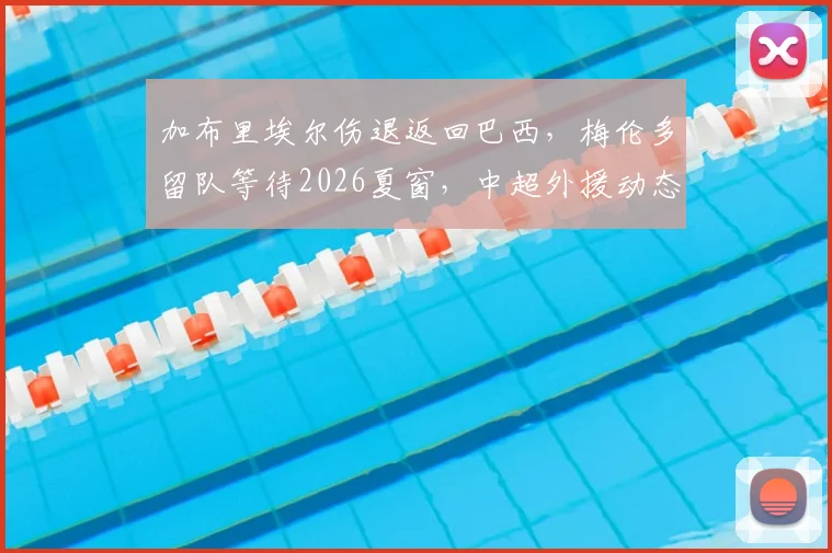 加布里埃尔伤退返回巴西,梅伦多留队等待2026夏窗,中超外援动态牵动申花球迷心